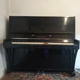 pionina