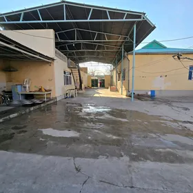 Coganly Asgabat koce