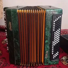 Баян