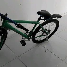 Turkmenistan tigir