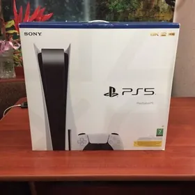 PS5 -Fat