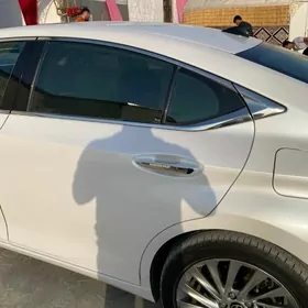 Gapy setka Lexus