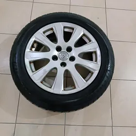 225/55/17 diska pakrysga