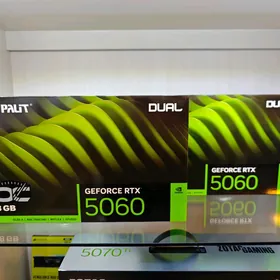 PALIT RTX 5060