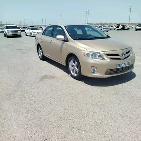 Toyota Corolla 2011