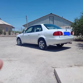 Toyota Corolla 2000
