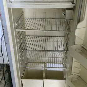 holodelnik