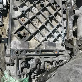 zf karopka
