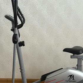 Sport tigir