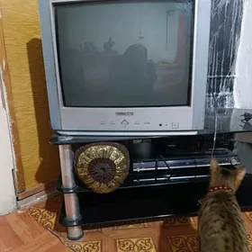 Telewizor