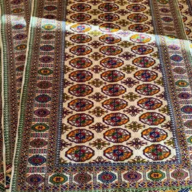 El haly taze artyl