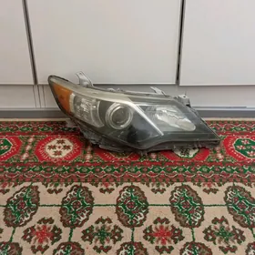 fara kamry