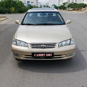 Toyota Camry 2001
