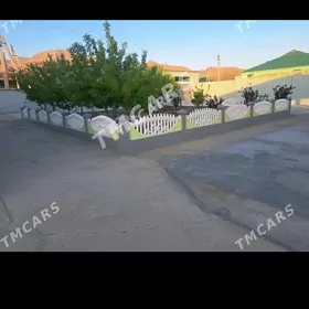 beton zaborlar hayatlar