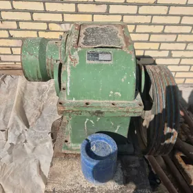 Şnek gilze zawot galowka