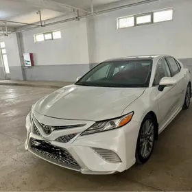 Toyota Camry 2021