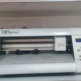 pyonka kesya we surat cekya