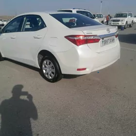 Toyota Corolla 2014