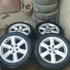 okuz kelle disga Teker R17