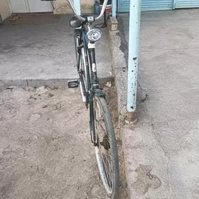 ural tigir
