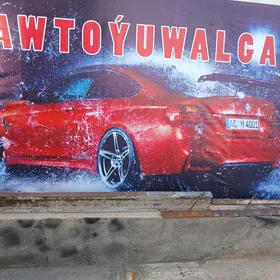 MOŸKA APARAT