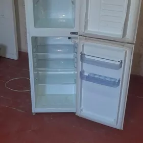 SATLYK HALADYNLYK