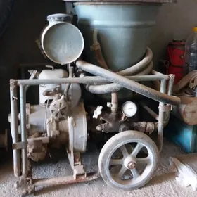 Solidor kacaylayan