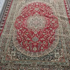 Iran Haly