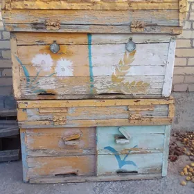 ПЧЕЛЫ