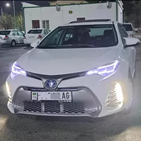 Toyota Corolla 2016
