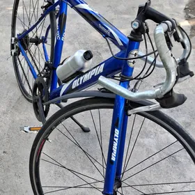 Olympia tigir sportiwny