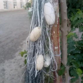 Трёх стенка сетка