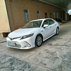 Toyota Camry 2022