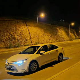 Toyota Corolla 2019