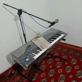 Korg pa800