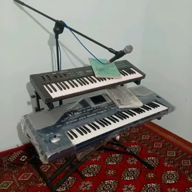Korg pa800, Yamaha dx21