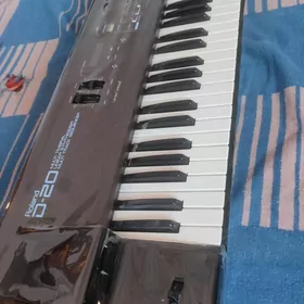 roland D-20 2 sany