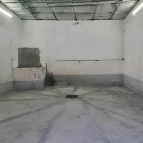 Arenda ýer