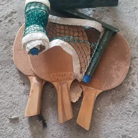 Tenis tory