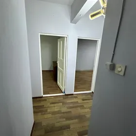Satlyk büzmeýn gres jaý