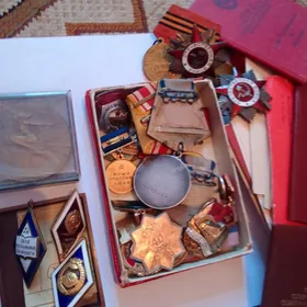 medal arginal