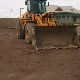 LiuGong 855 2010