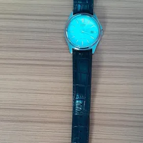 Casio sagat.