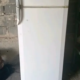 haladiknik