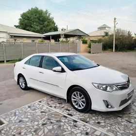 Toyota Camry 2013