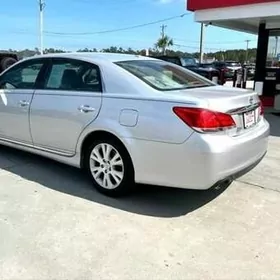 AVALON DISKA 17 sienna