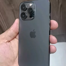 13pro