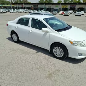 Toyota Corolla 2010
