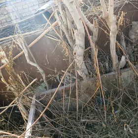 4 ton salyarka boçka