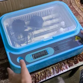 Incubator